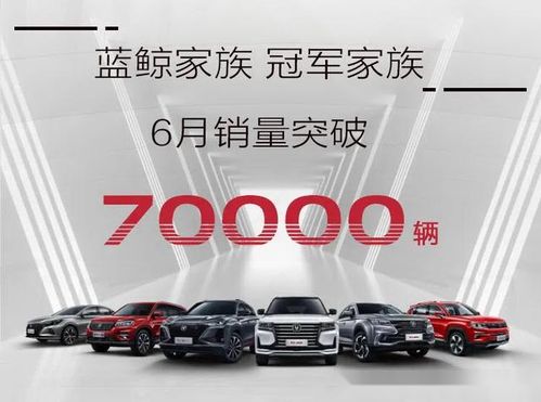 睿骋cc全部资讯 易车