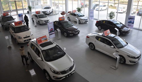 车市黑天鹅突袭 金九成烂摊子,银十恐入寒冬