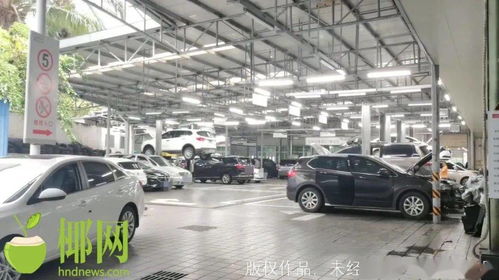 修修修 台风过后,海口汽车4s店和维修厂 有点忙 汽车销售